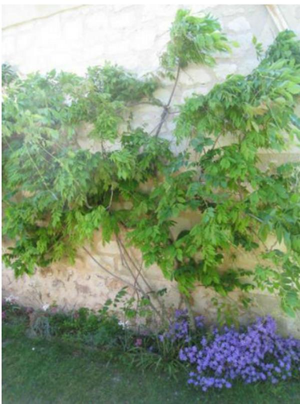 Le Clos De La Chapelle - Gite Les Glycines Dış mekan fotoğraf